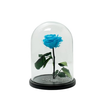 Beauty And The Beast Baby Blue Rose Small Campana